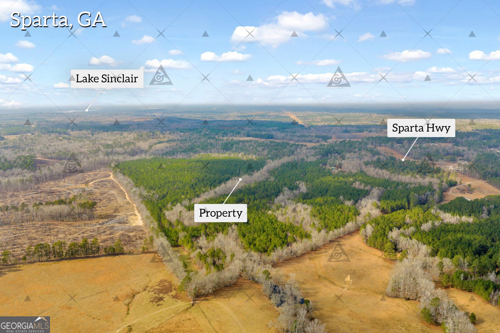 1027 Sparta Highway Sparta - Photo 19