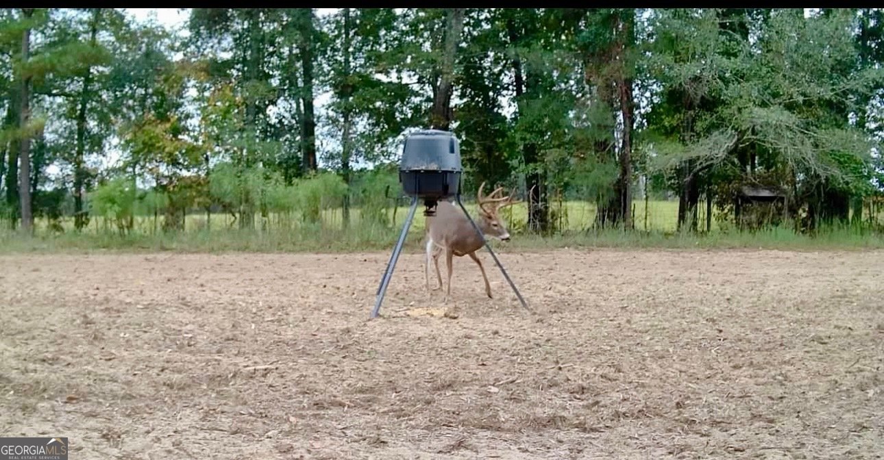 1027 Sparta Highway Sparta - Photo 25