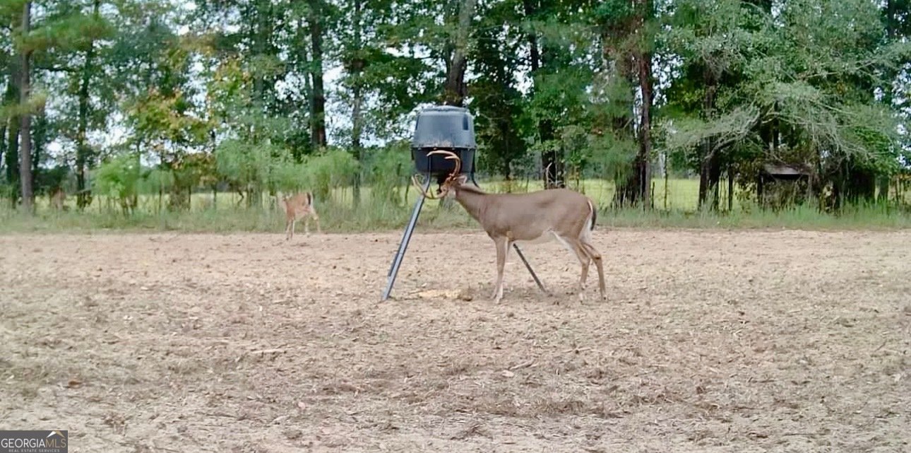 1027 Sparta Highway Sparta - Photo 26