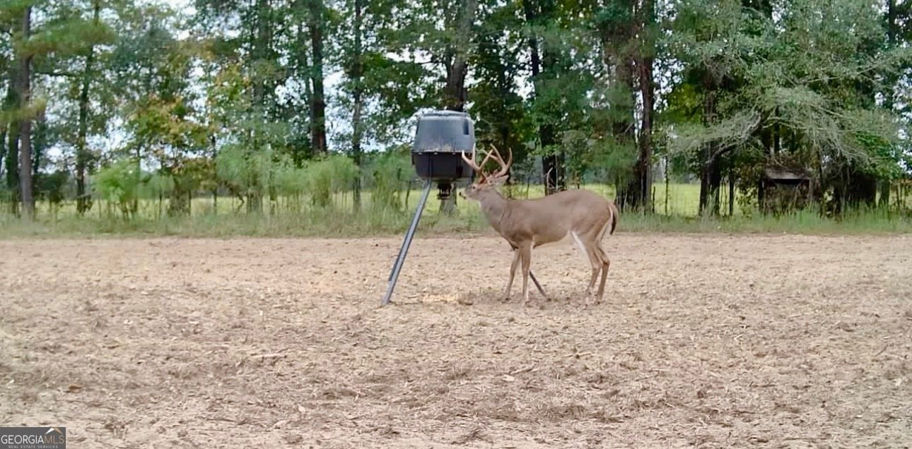 1027 Sparta Highway Sparta - Photo 27