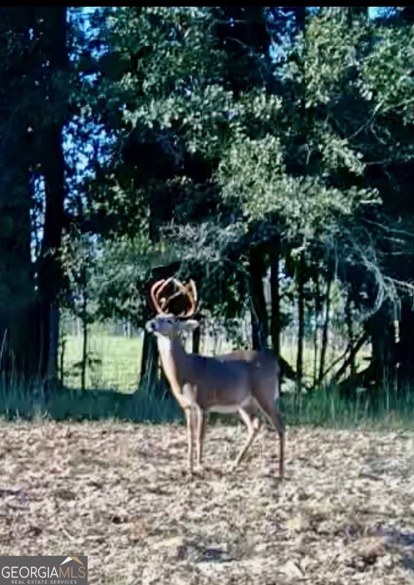 1027 Sparta Highway Sparta - Photo 29