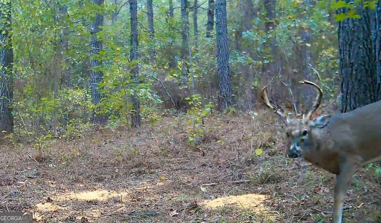 1027 Sparta Highway Sparta - Photo 30