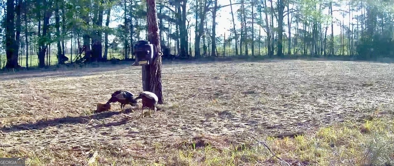 1027 Sparta Highway Sparta - Photo 31