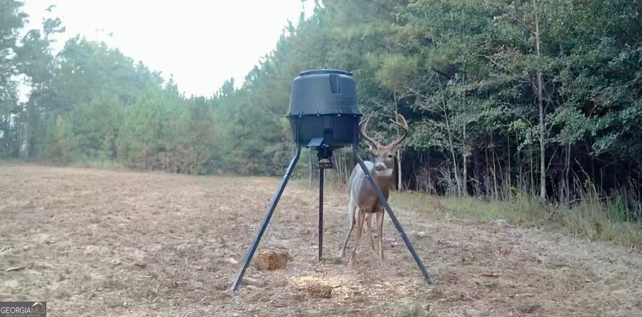 1027 Sparta Highway Sparta - Photo 32