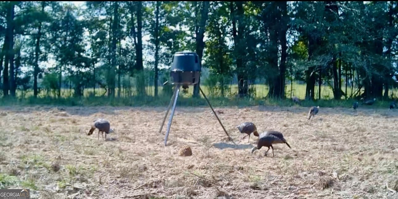 1027 Sparta Highway Sparta - Photo 33