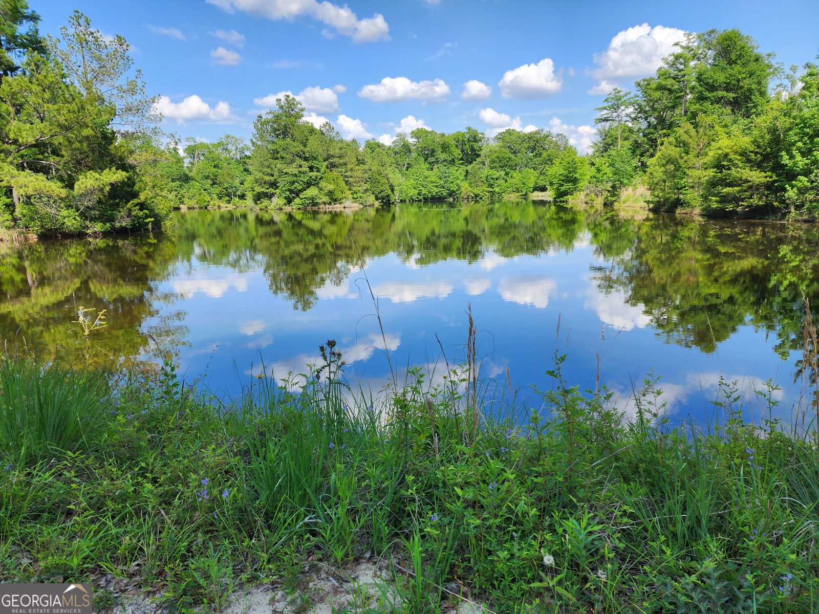 3524 Moss Island Court Albany - Photo 20