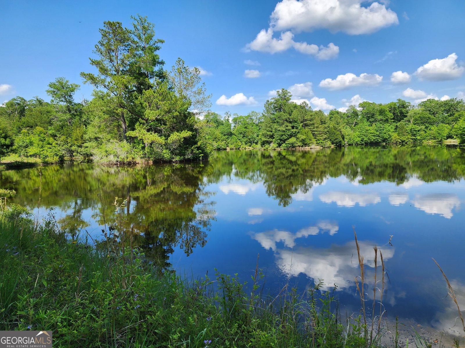 3524 Moss Island Court Albany - Photo 21