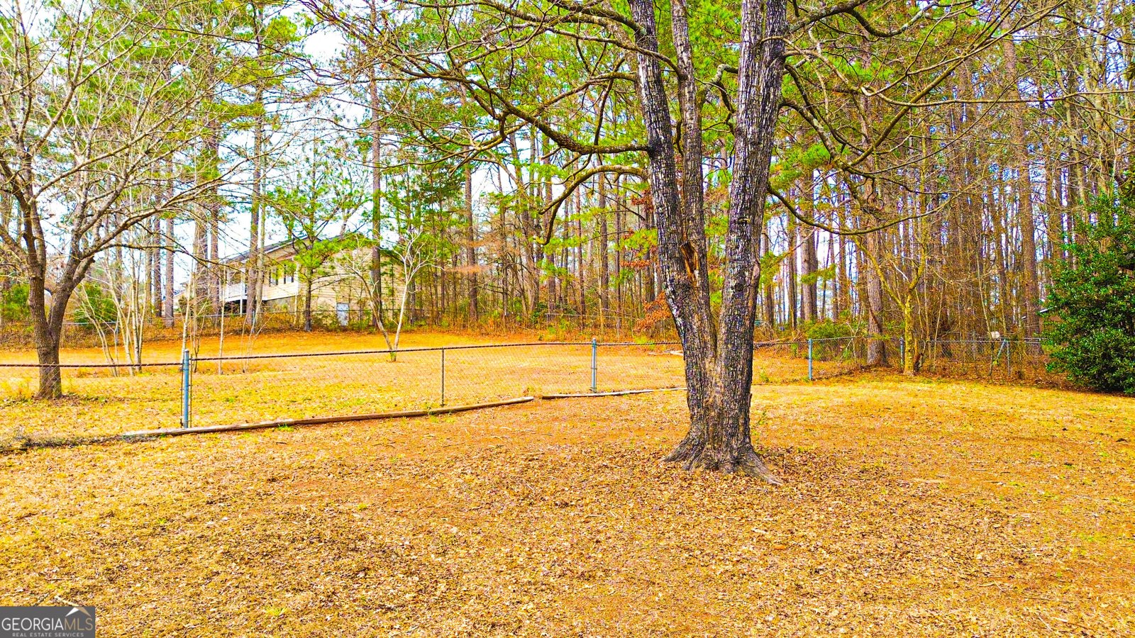 205 Silver Creek Lane Stockbridge - Photo 71