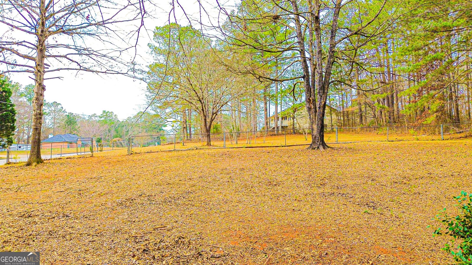 205 Silver Creek Lane Stockbridge - Photo 73