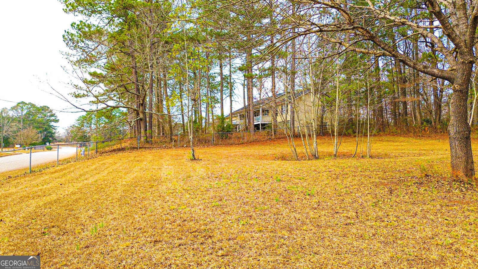 205 Silver Creek Lane Stockbridge - Photo 76