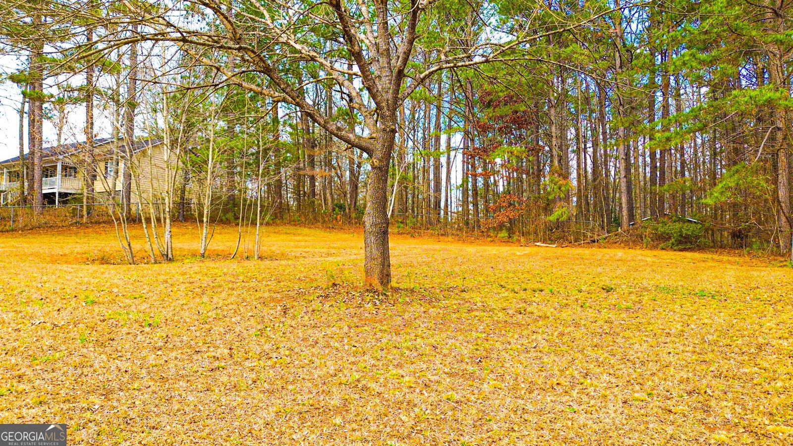 205 Silver Creek Lane Stockbridge - Photo 77