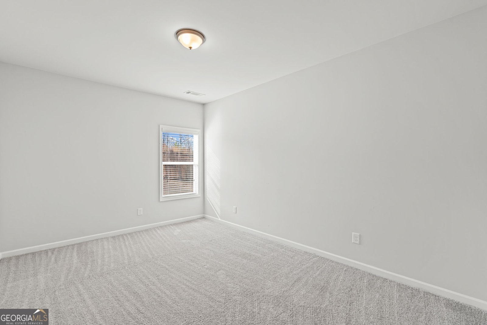 6137 Black Pear Lane Gainesville - Photo 22