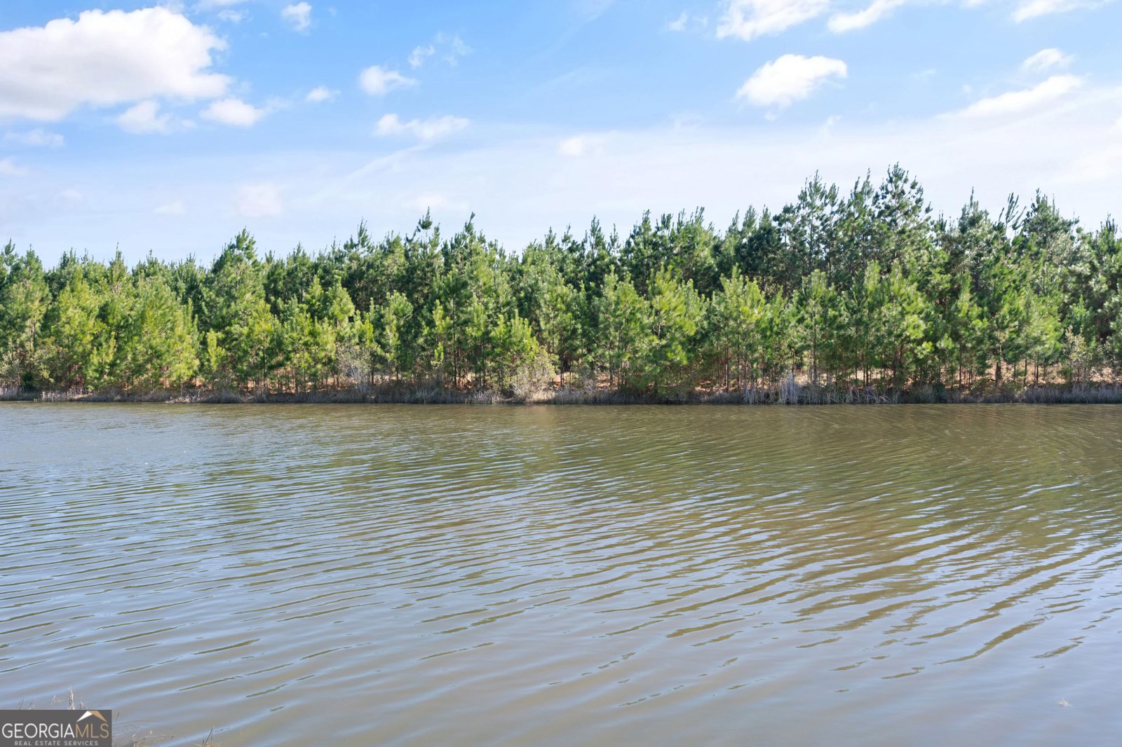 212 Northshore Drive Kingsland - Photo 43