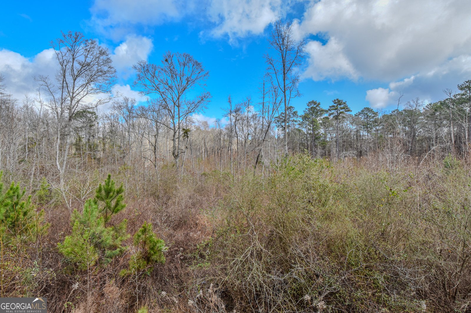 1780 Harden Road Zebulon - Photo 28