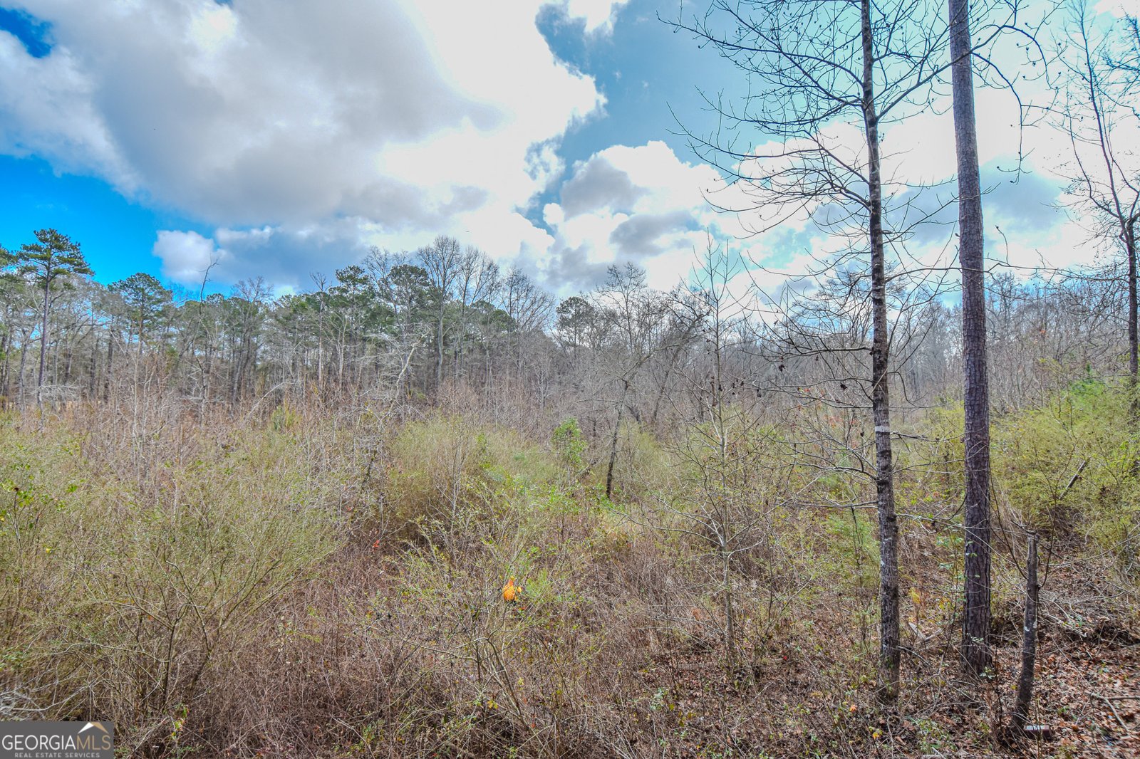 1780 Harden Road Zebulon - Photo 29