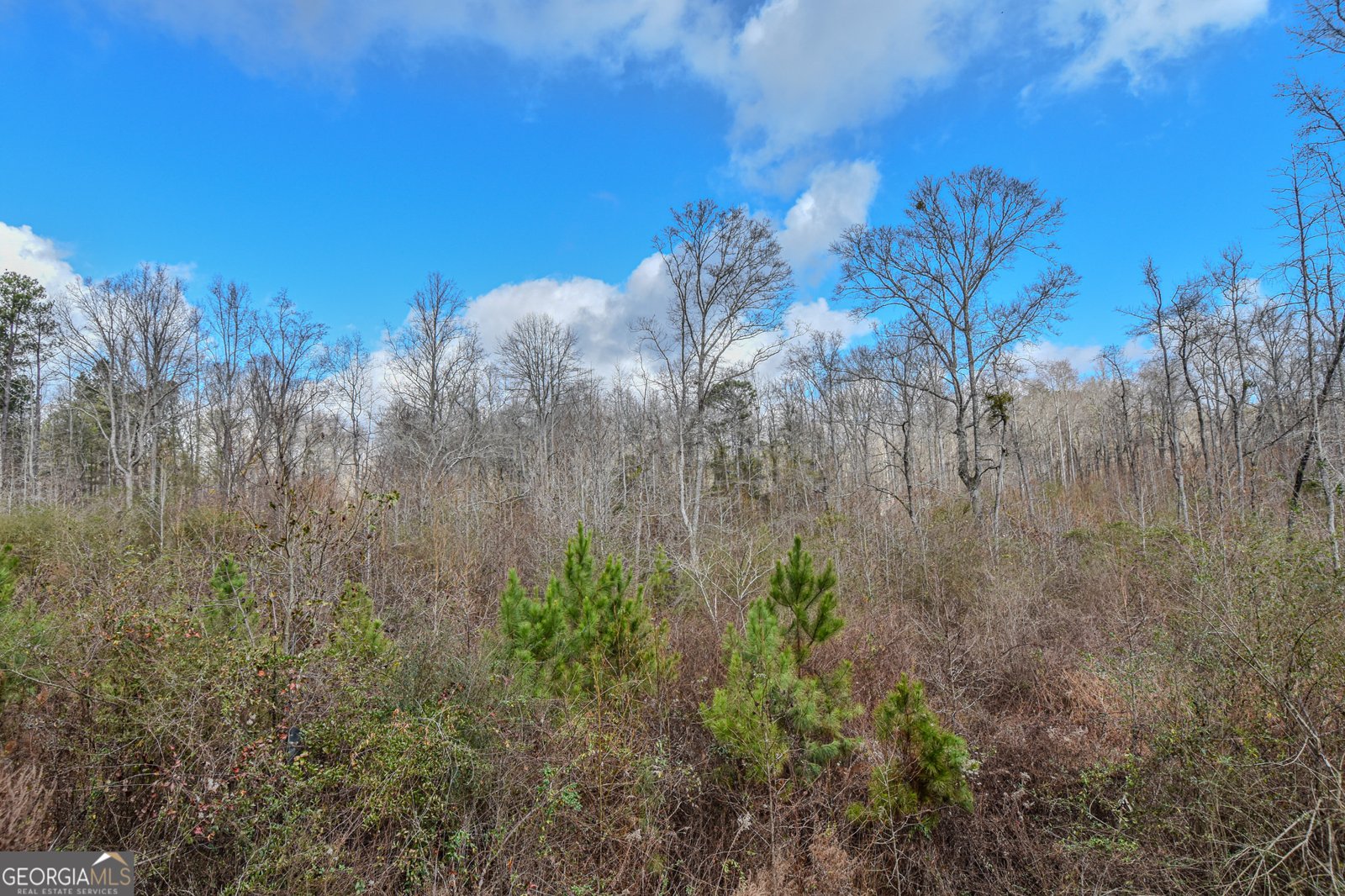 1780 Harden Road Zebulon - Photo 37