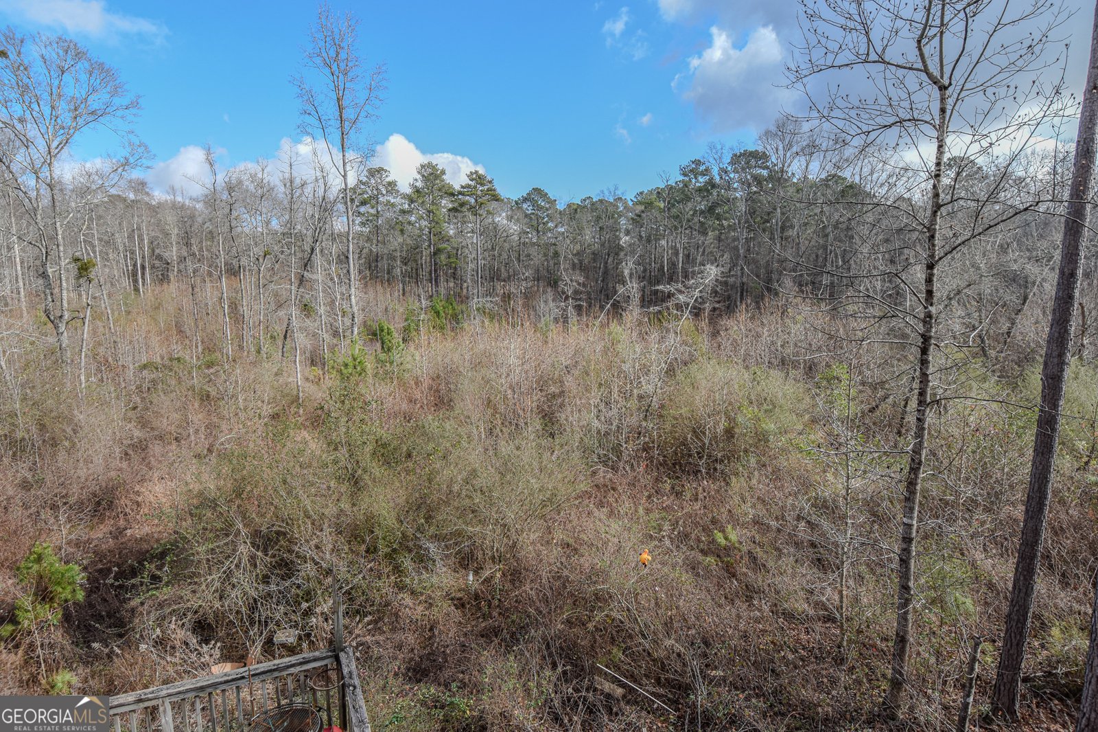 1780 Harden Road Zebulon - Photo 53