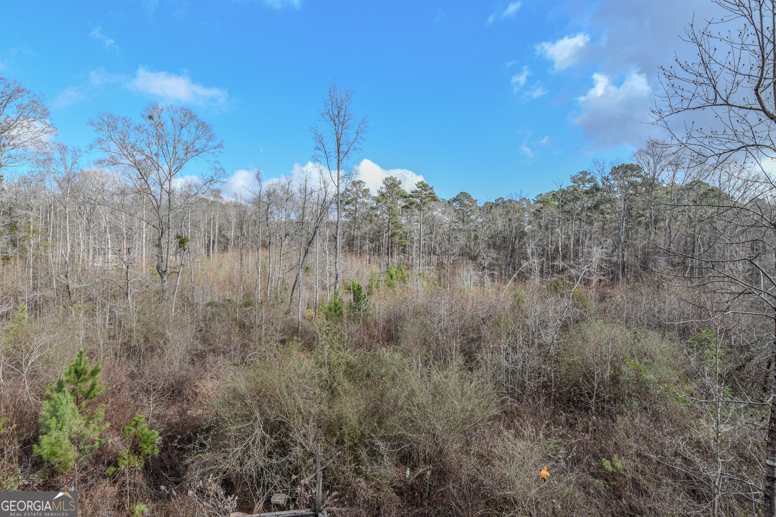 1780 Harden Road Zebulon - Photo 55