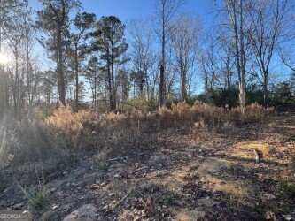 4335 Nessmith Road Statesboro - Photo 16