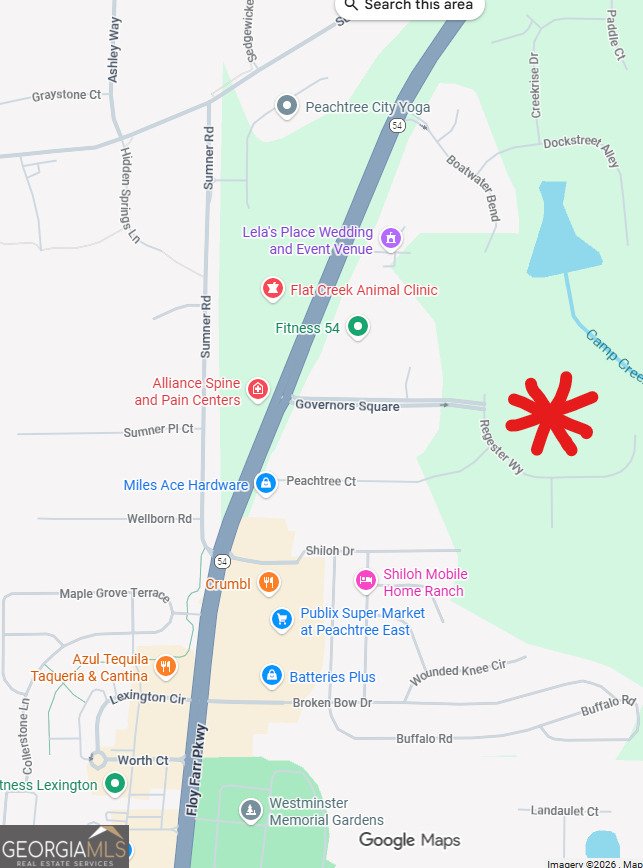 208 Regester Way Peachtree City - Photo 20