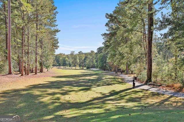5 Buckthorn Drive Newnan - Photo 22