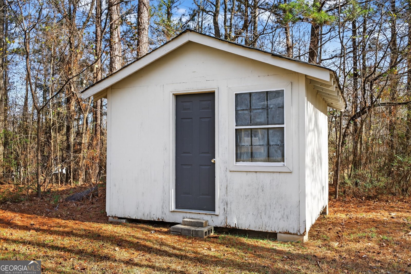 245 Glazier Road Senoia - Photo 29