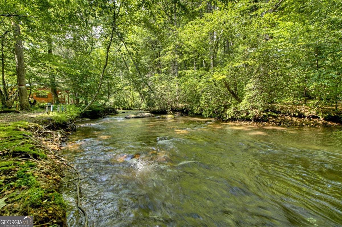 251 Rockhouse Road Cherry Log - Photo 35