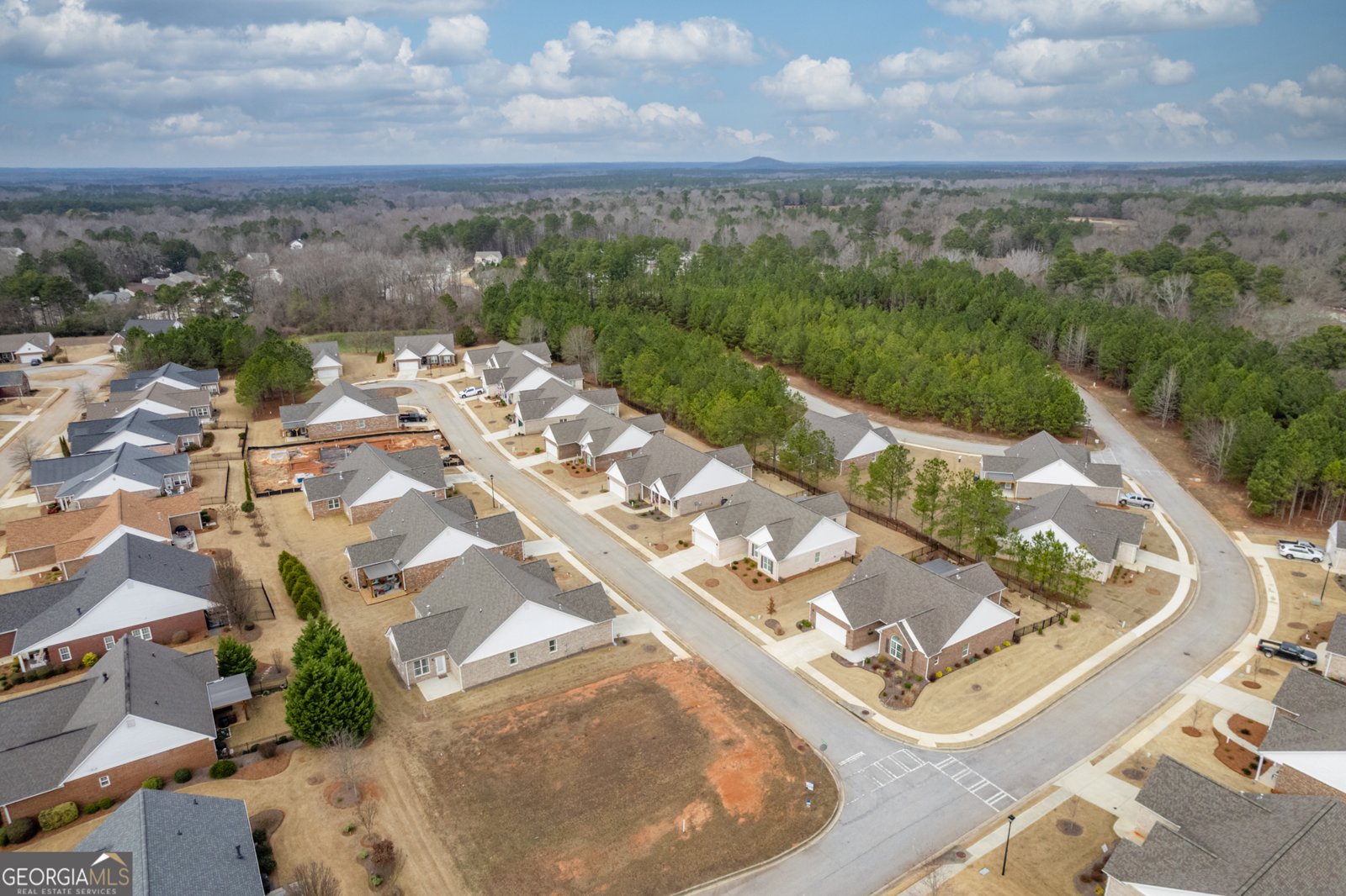 900 Park Place Street Social Circle - Photo 55