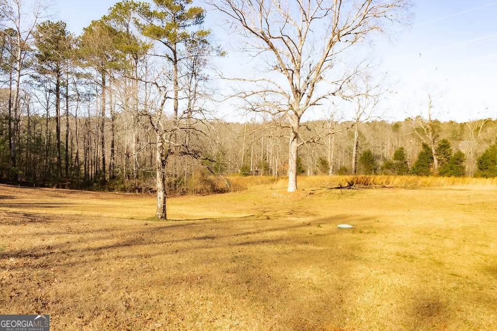 2687 Highway 155 McDonough - Photo 56