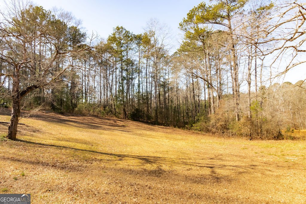 2687 Highway 155 McDonough - Photo 57