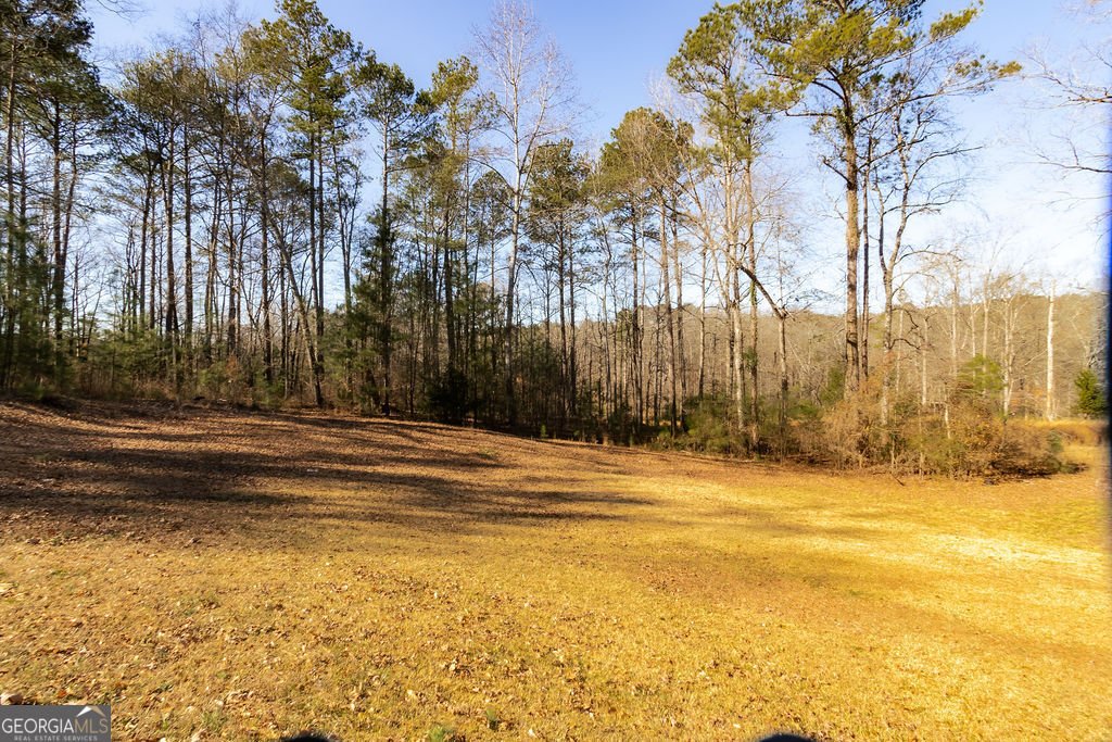 2687 Highway 155 McDonough - Photo 58