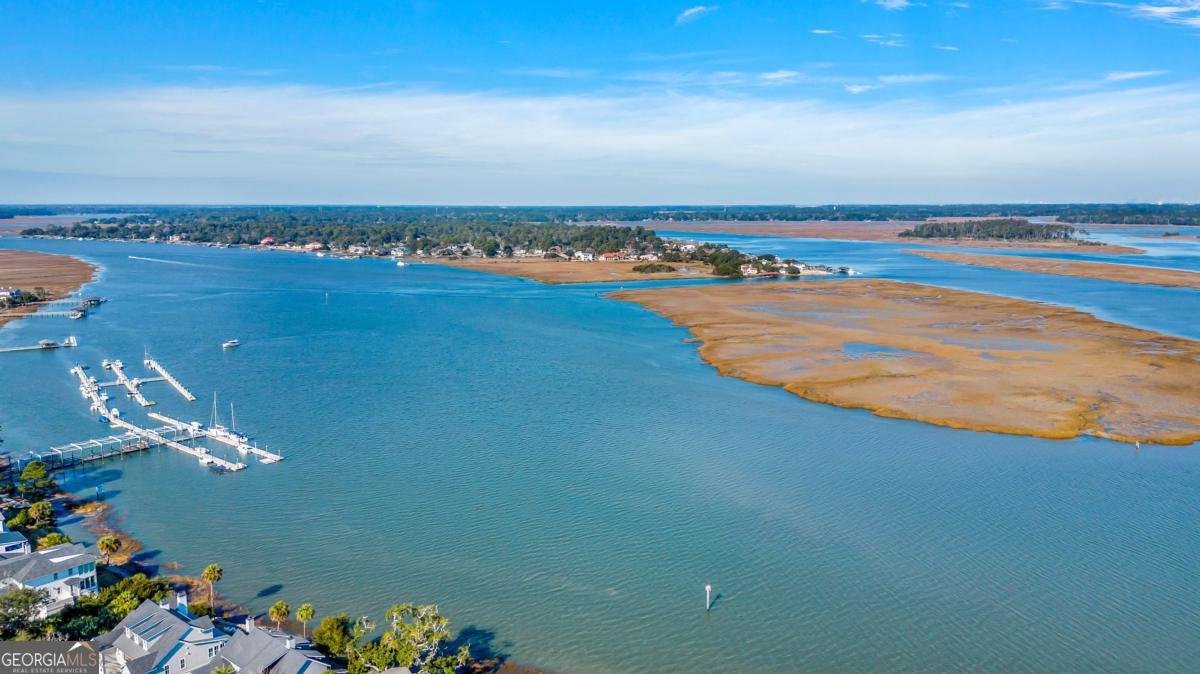 12 Riverwatch Lane Savannah - Photo 58