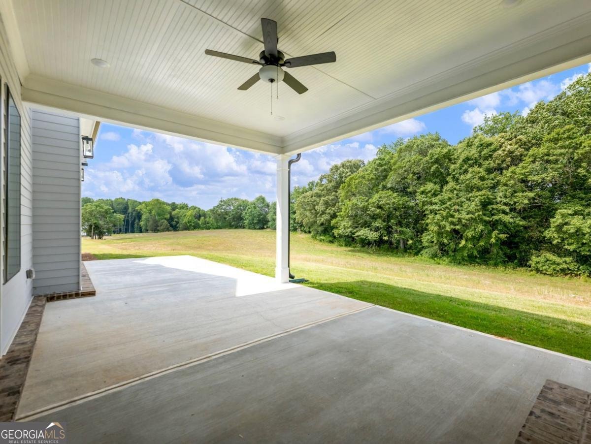 170 Ewing Way Dacula - Photo 48