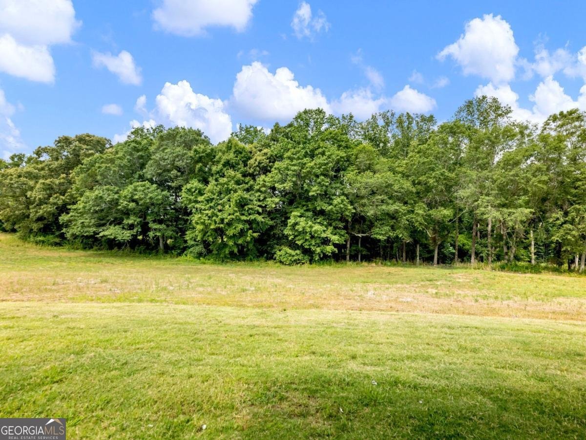 170 Ewing Way Dacula - Photo 49