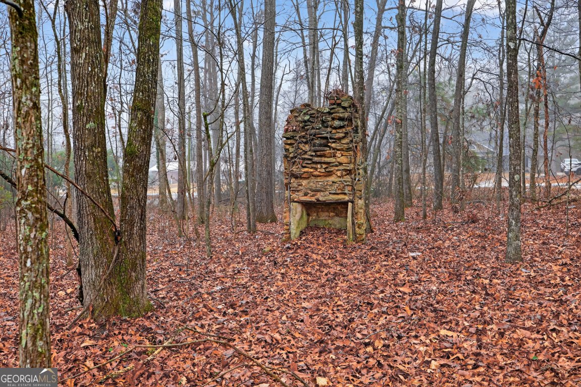 922 Linch Road Senoia - Photo 72