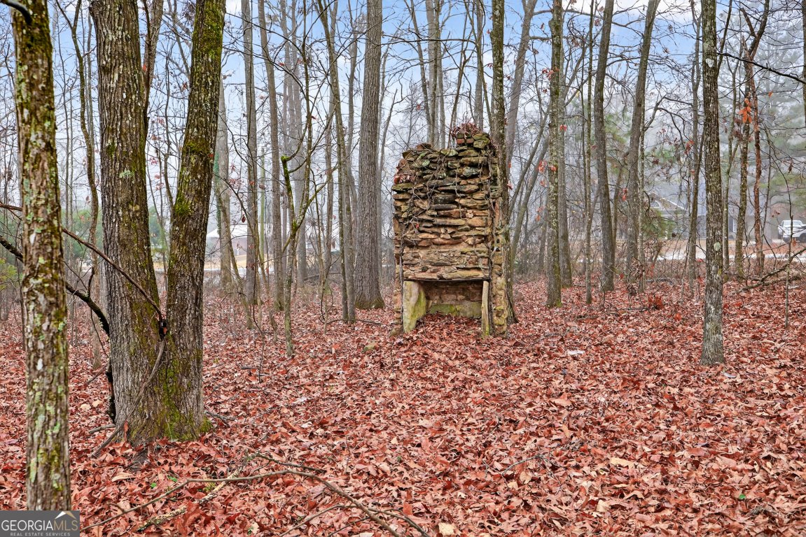 922 Linch Road Senoia - Photo 74