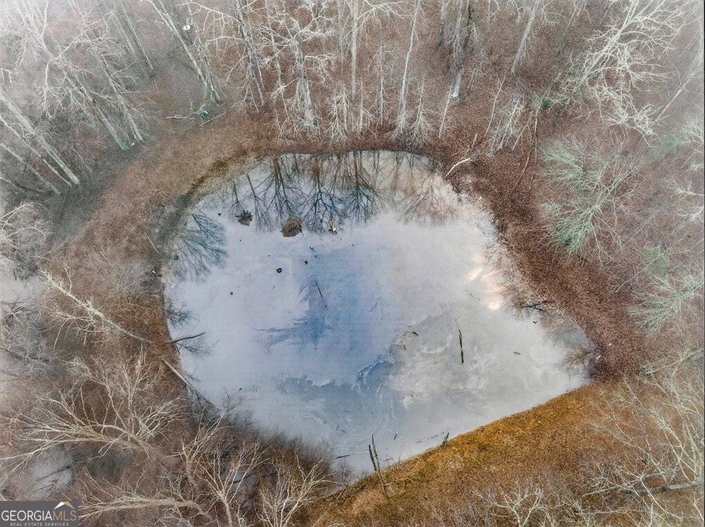 922 Linch Road Senoia - Photo 87