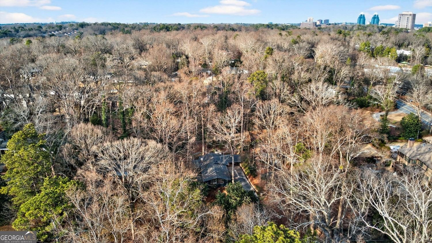 550 Forest Hills Drive Atlanta - Photo 54