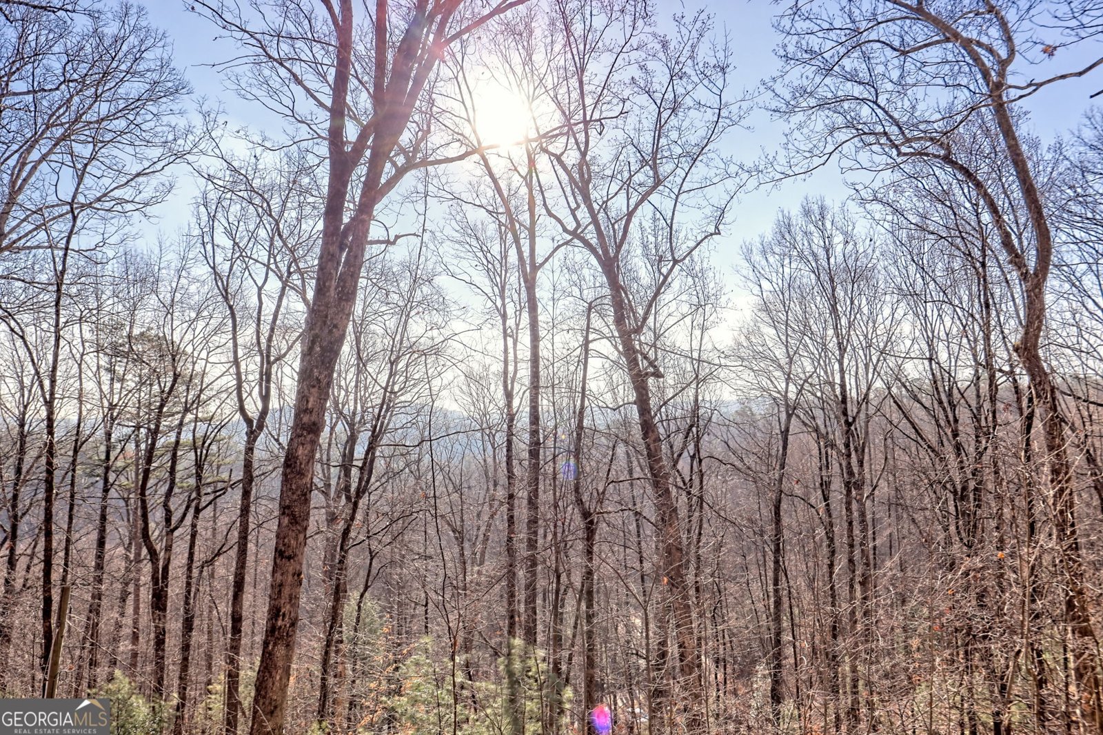 770 Glassy Mtn Road Tiger - Photo 26