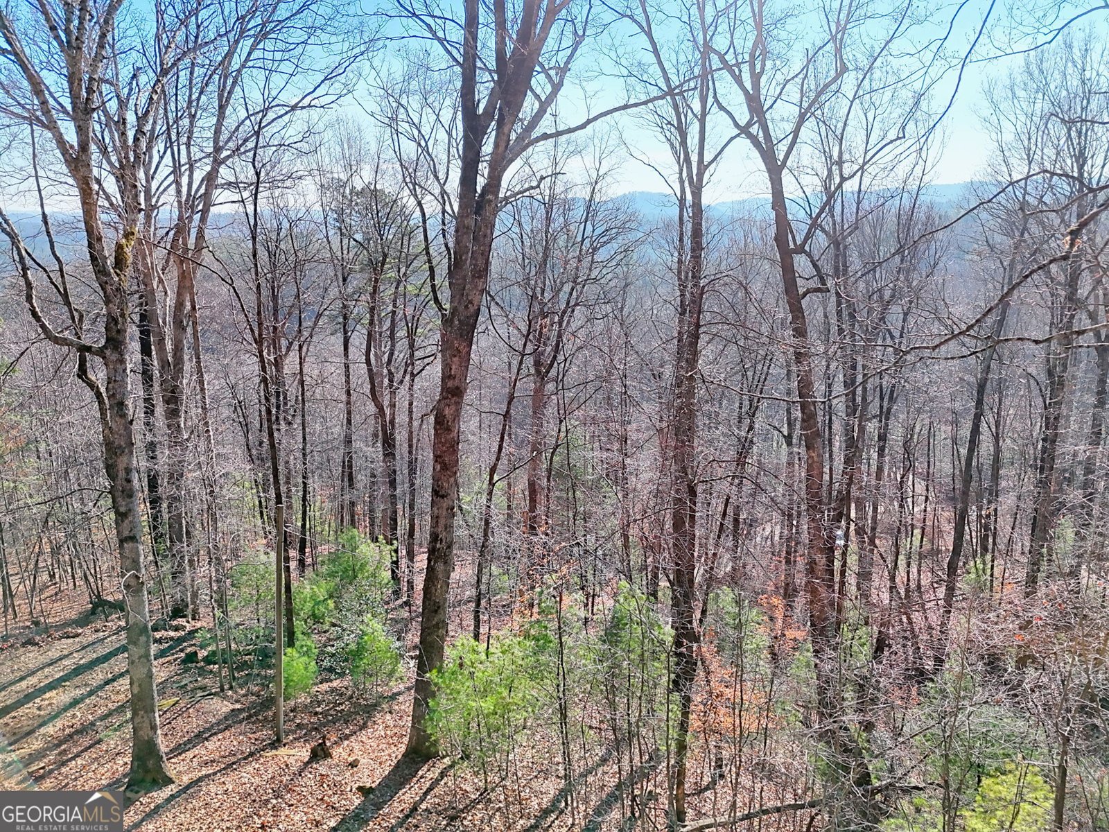 770 Glassy Mtn Road Tiger - Photo 6