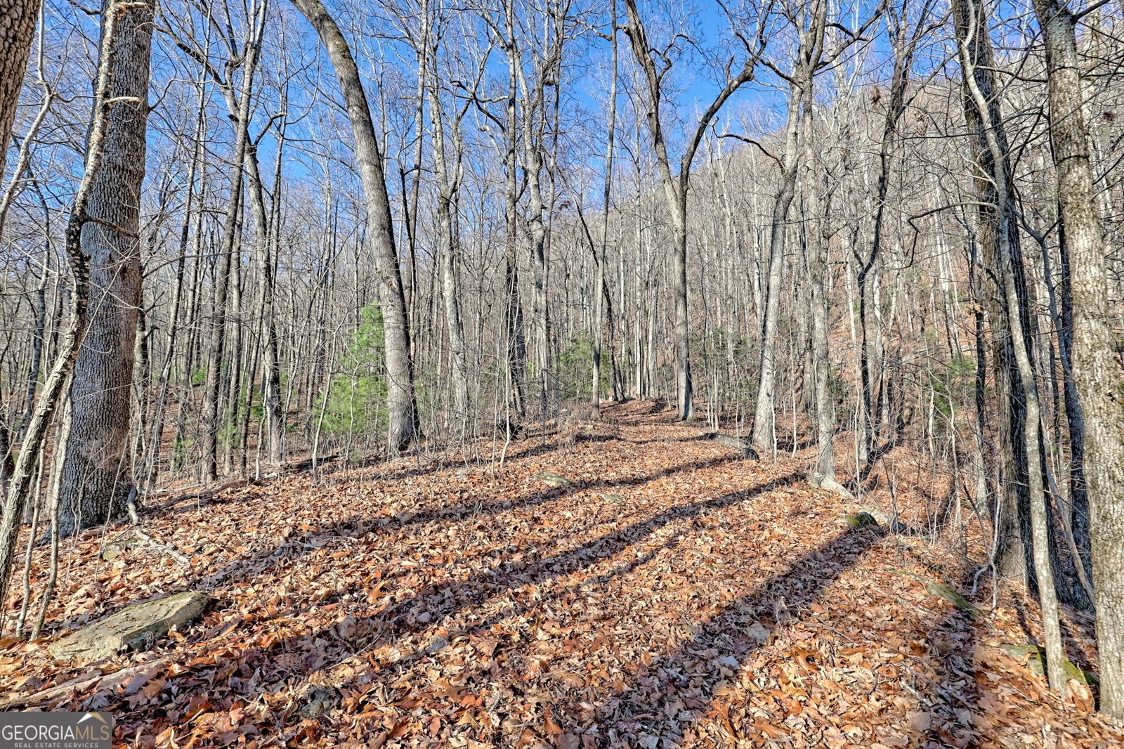 770 Glassy Mtn Road Tiger - Photo 61