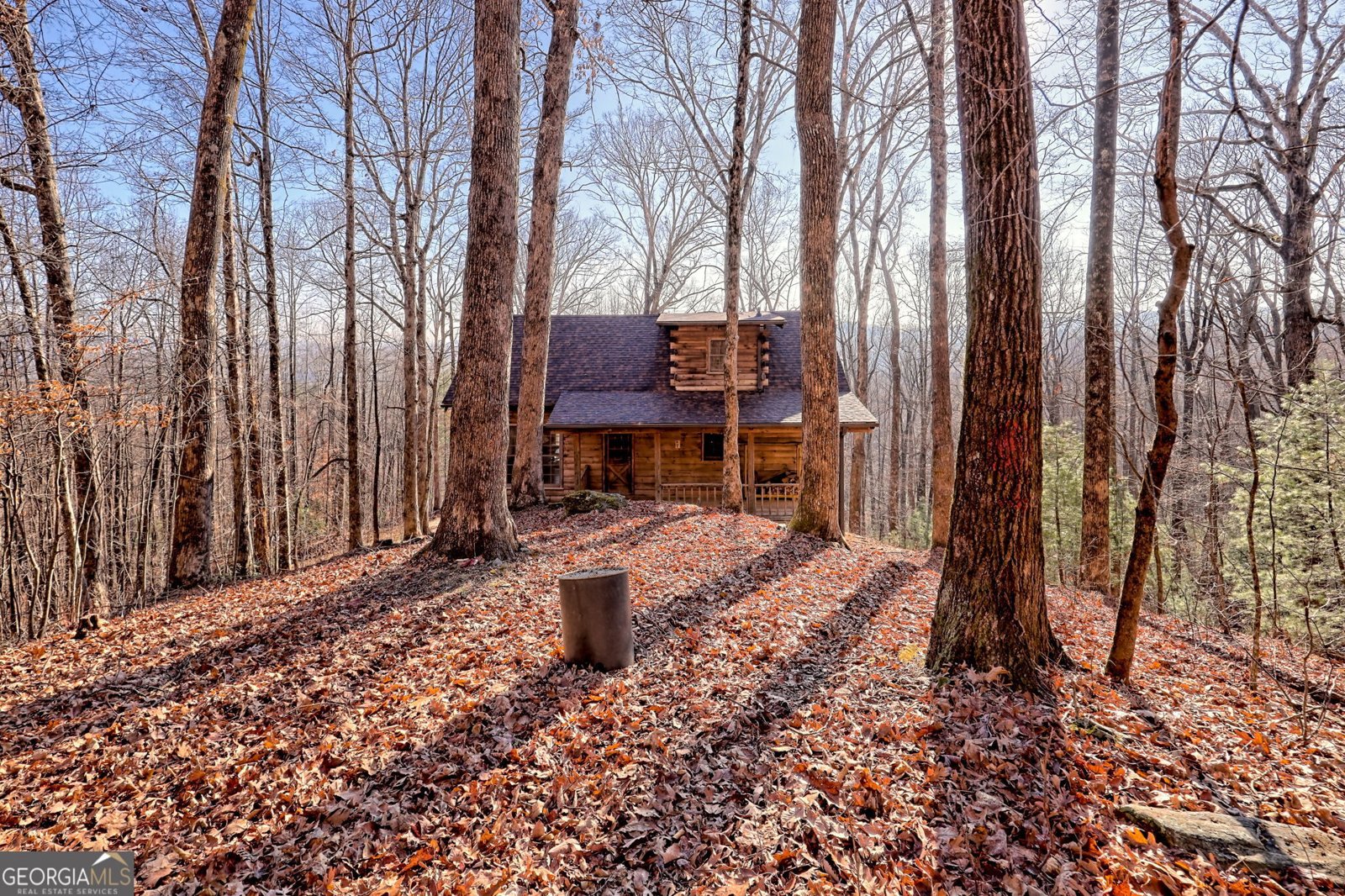 770 Glassy Mtn Road Tiger - Photo 62