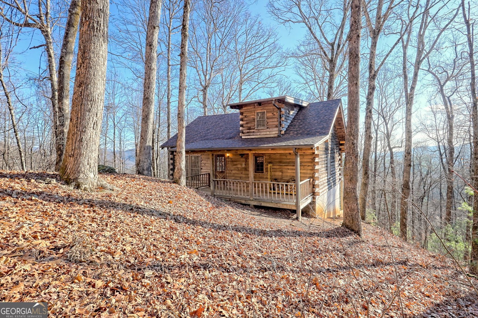 770 Glassy Mtn Road Tiger - Photo 63