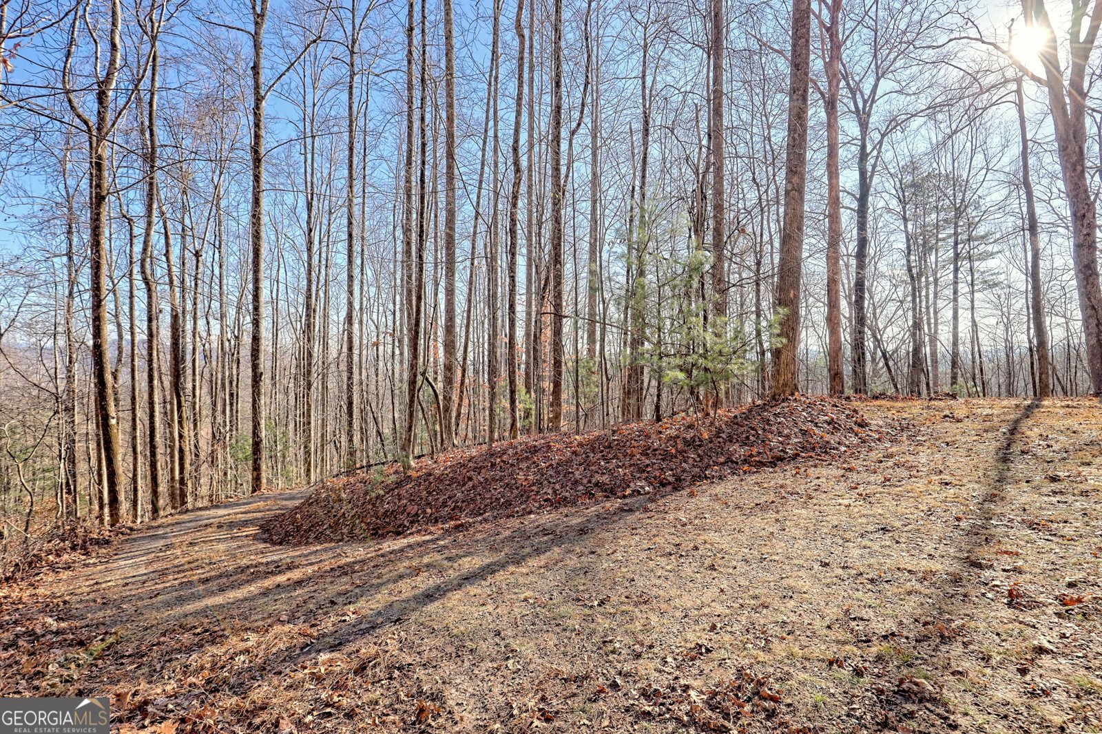 770 Glassy Mtn Road Tiger - Photo 67