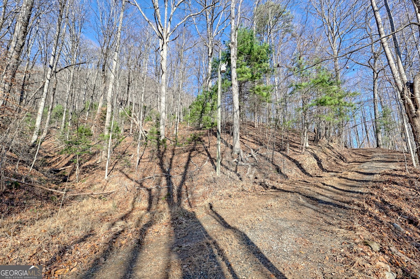 770 Glassy Mtn Road Tiger - Photo 69