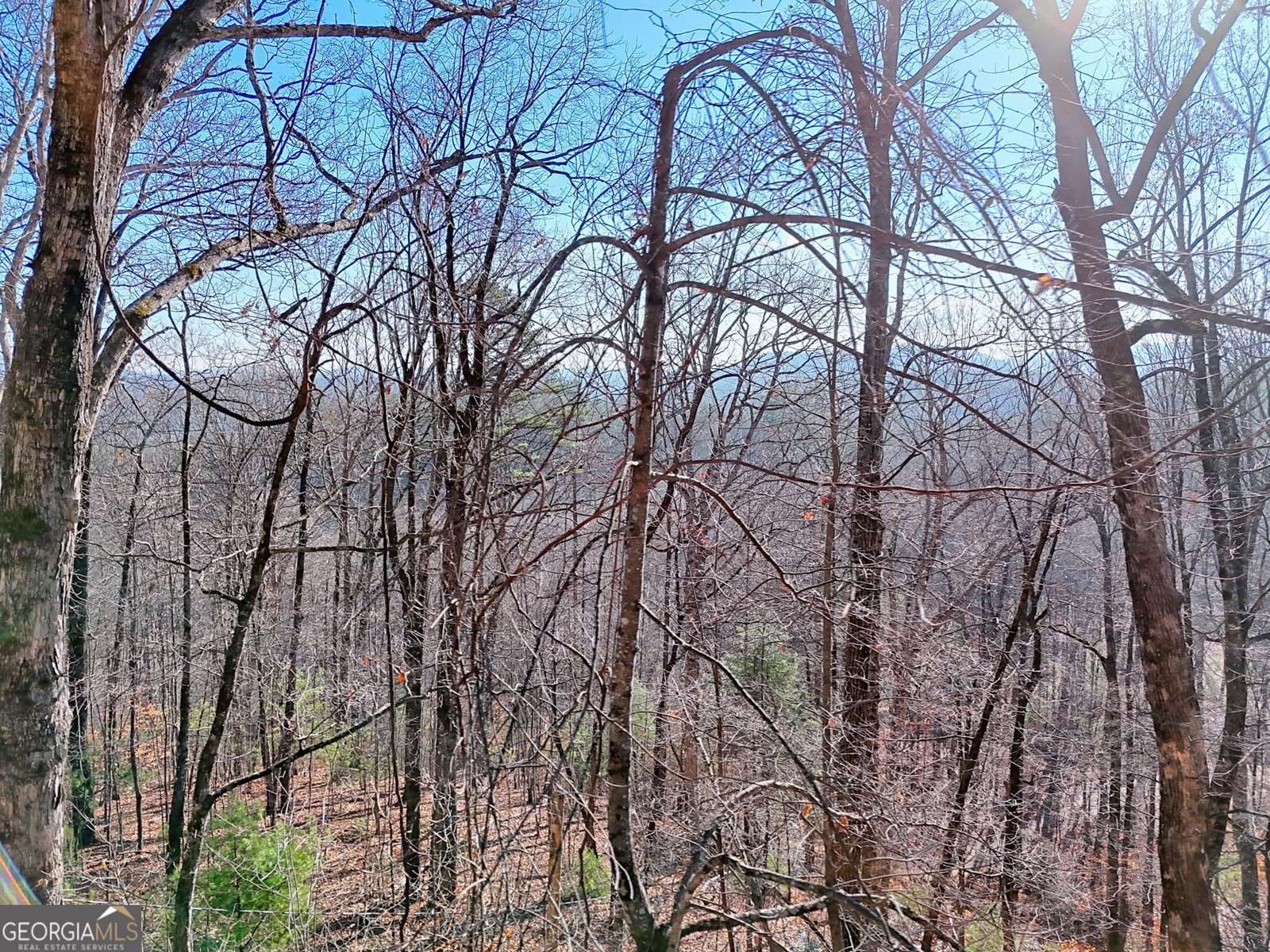 770 Glassy Mtn Road Tiger - Photo 71