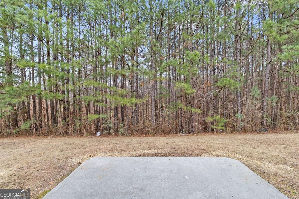 4654 Ravenwood Loop Union City - Photo 28