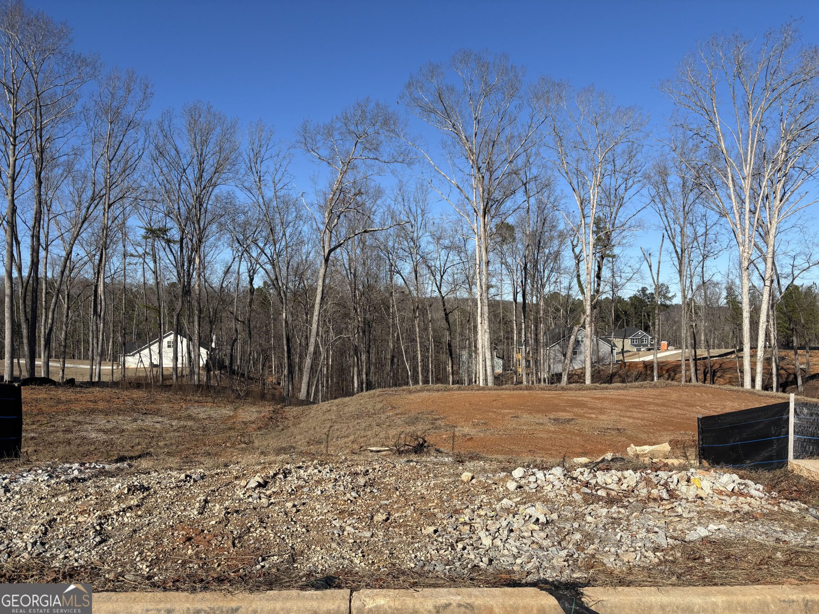 3390 Trevi Trail Douglasville - Photo 1