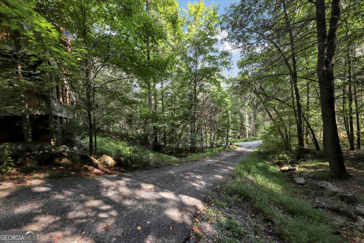 357 Hemlock Trail Blue Ridge - Photo 38