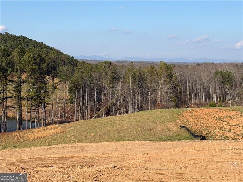 5364 Price Road Gainesville - Photo 57